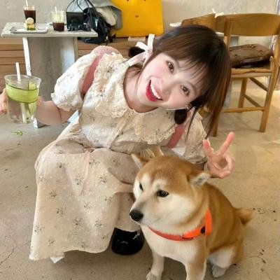 夏日奇妙书